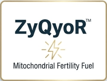 zyqyor